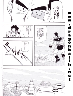 Page 33 of Dragon Ball Z - Wakayo