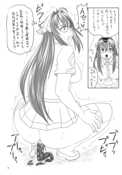 Page 45 of Ninbetsu Chou