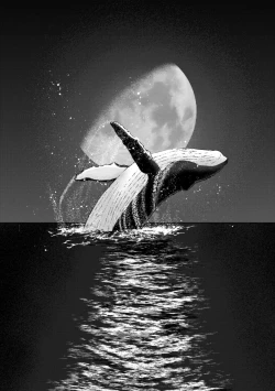 Page 117 of Ameagari ni Mou Ichido - Once again after the rain