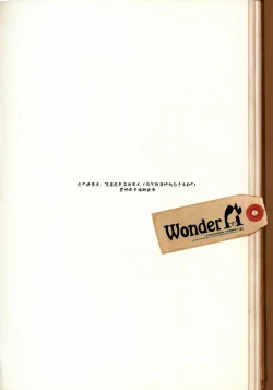Page 3 of wonder A