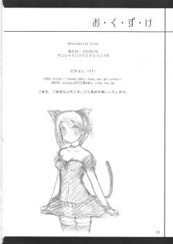 Page 17 of Wonderful Life