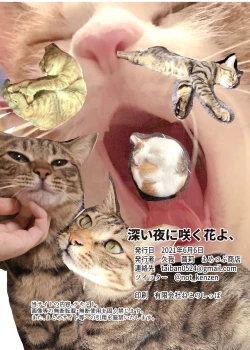 Page 22 of Fukai Yoru ni Saku Hana yo
