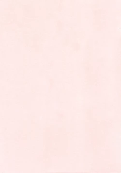 Page 192 of Nuretachi Yarimakuri - Extreme Sex