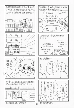 Page 29 of RURIMIX SP9