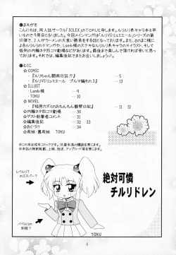 Page 3 of RURIMIX SP9