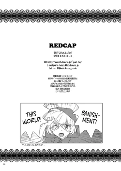 Page 29 of REDCAP