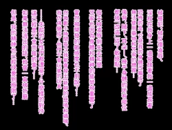 Page 44 of Aru Futsumashi no "Haiboku"