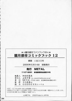 Page 243 of Misty Moon Metropolis XII