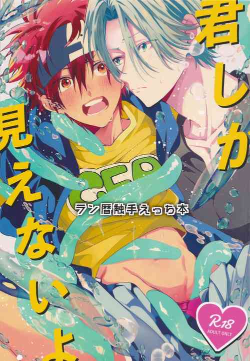 Download kimi shika mienai yo