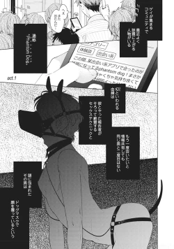 Page 7 of Phantom dog