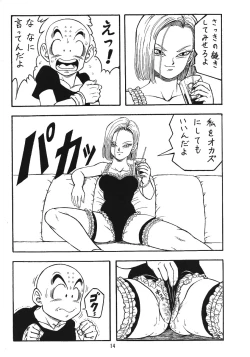Page 13 of DragonBall H Maki San