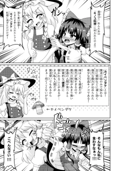 Page 14 of Reimu no Fuun na Daiihen