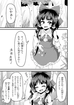 Page 4 of Reimu no Fuun na Daiihen