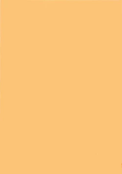 Page 205 of Egao no Subete...