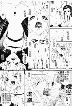 Page 19 of ただでヤレる女たち