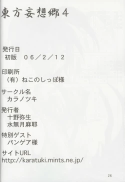 Page 25 of Touhou Mousou Kyou 4 | Delusional Village 4