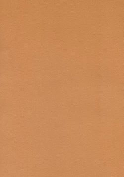 Page 35 of Honey DIP