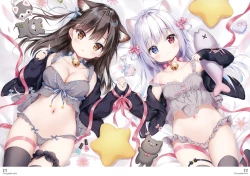 Page 18 of Okigae Nisshi