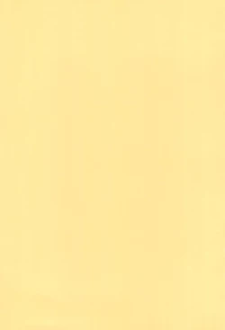 Page 3 of Minnaigai no Neta vol.2