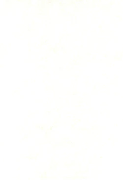 Page 4 of Mero Mero Day