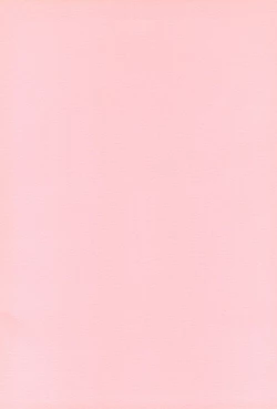 Page 2 of Mahou Shoujo wa Sainan nano Vol. 8