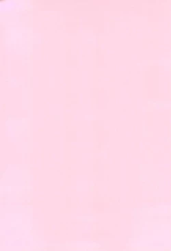 Page 26 of Chicchakute Ecchi Hon 8