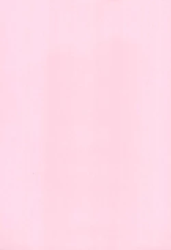 Page 3 of Chicchakute Ecchi Hon 8