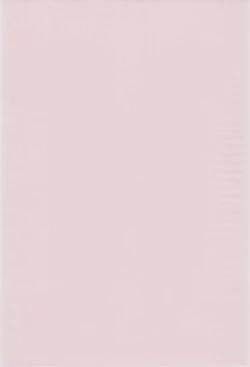 Page 4 of (Puniket 10) [Shirando (Shiran Takashi)] -ojamajo illusion diary- (Ojamajo Doremi)