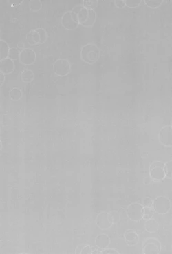 Page 29 of Oniichan wa Sourou