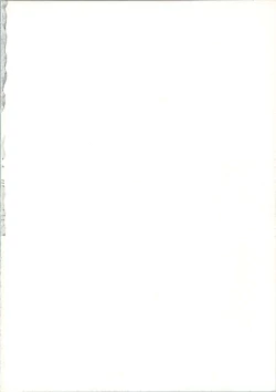 Page 2 of TRAP Kaiteiban