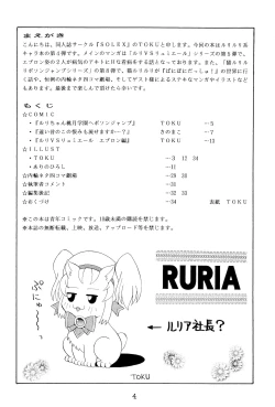 Page 3 of RURIMIX SP4