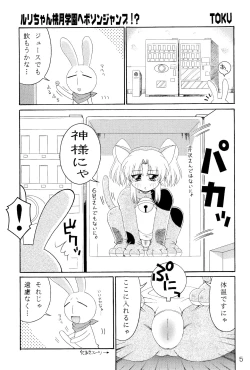 Page 4 of RURIMIX SP4