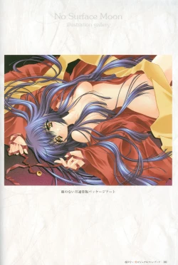 Page 102 of Kao no Nai Tsuki Visual Fanbook