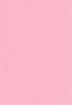 Page 2 of Koufukuron de Chucchucchu