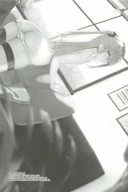 Page 13 of STAR15&M4A1