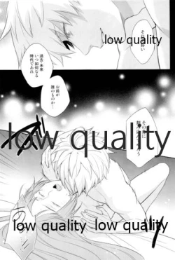 Page 13 of Reprint G/E plus