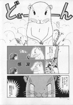 Page 12 of Kemono Land