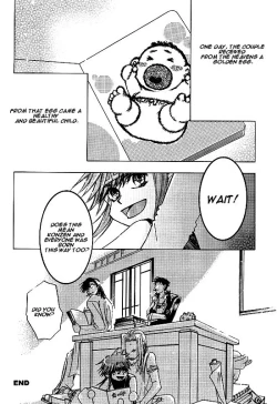 Page 27 of Kin no Tamago