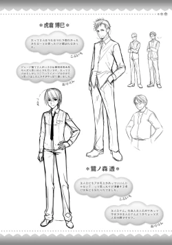 Page 295 of Amairo Islenauts Official Visual Fanbook