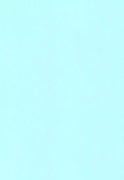 Page 4 of Tropical Bitch 2