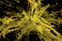 Page 29 of Maid's Ambition 2 女仆的野心2