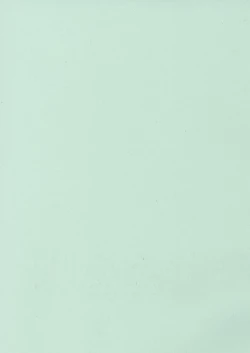 Page 176 of Aru Kazoku no Shouzou