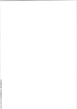 Page 2 of Lina Inverse Juu Shinkan ni NTR Kairaku Ochi | 莉娜・因巴斯被獸神官NTR墮入快樂