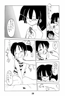 Page 28 of Nai. Sairoku-hon