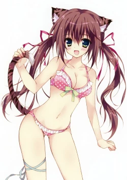 Page 11 of Toranoana Chronicle 2012