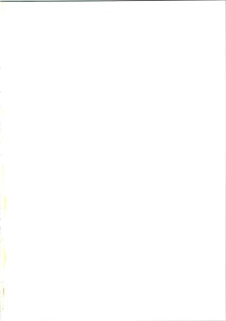 Page 2 of Pantless 2