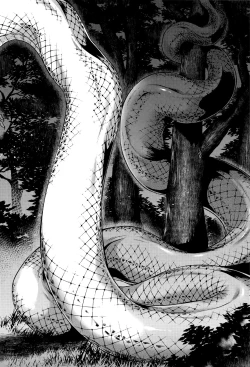 Page 96 of Hachishaku Hachiwa Keraku Meguri - Igyou Kaikitan