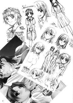Page 3 of Toaru Kagaku no Judgement