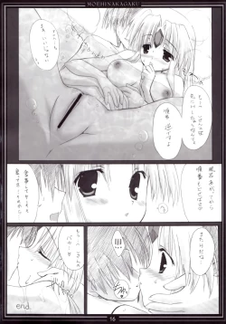 Page 15 of Riesz no Iru Nichijou 04