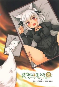 Page 44 of Ippan Heishi Akira ga Shitennou Tamamo wo Tsukaima ni Dekita Wake